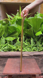 P03 - Golden Blessing Buddha Light  - พระพุทธพรทอง